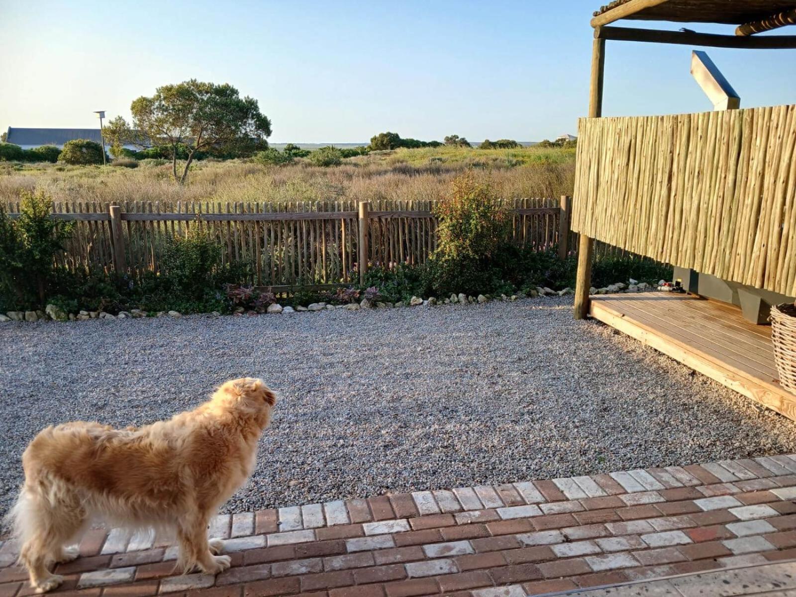 לאנגבאן Camelot Cottages מראה חיצוני תמונה
