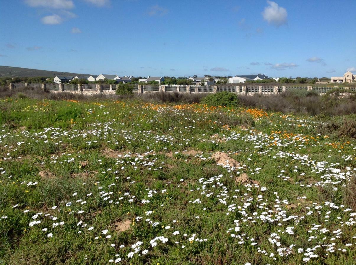 לאנגבאן Camelot Cottages מראה חיצוני תמונה
